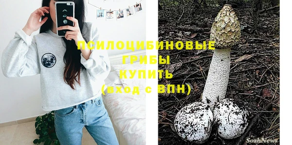 прущие крисы Алексин