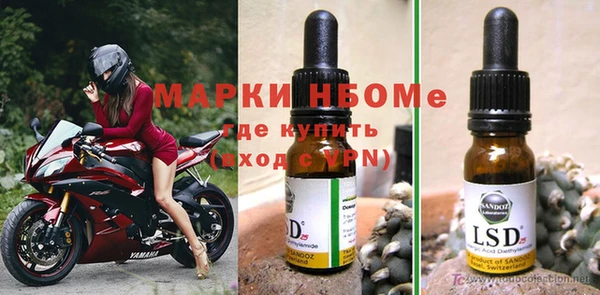дмт Алзамай