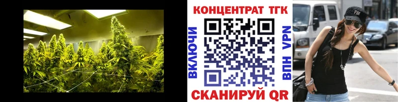Дистиллят ТГК концентрат  Берёзовский 