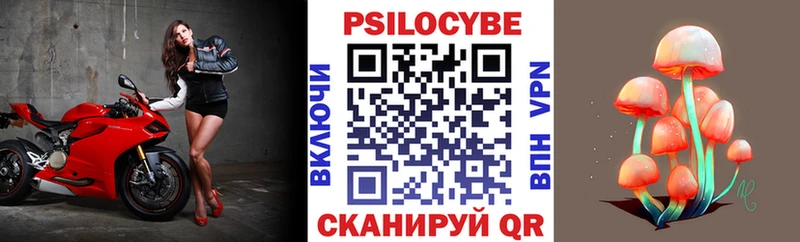 блэк спрут как зайти  Берёзовский  Галлюциногенные грибы GOLDEN TEACHER 